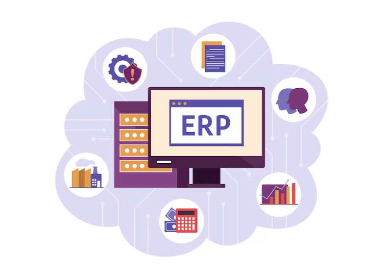 ERP Program
